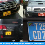 Plate Namba za Magari ya Serikali Tanzania