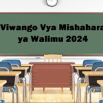 Viwango Vya Mishahara ya Walimu 2024