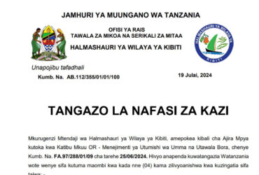 Nafasi Mpya za Kazi Almashauri ya Wilaya ya Kibiti Mwisho wa Maombi 28 Julai 2024