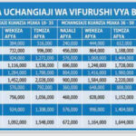 Gharama za Bima ya Afya kwa Mtu Binafsi 2024