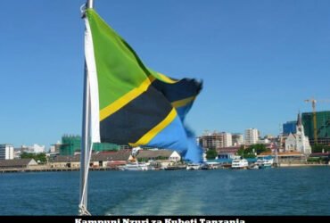 Kampuni Nzuri za Kubeti Tanzania 2024
