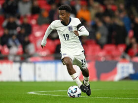 Manchester United Wapanga Kumsajili Upya Angel Gomes