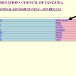 Kuangalia Matokeo darasa la nne dar es salaam