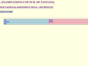 Matokeo Ya Darasa La Nne 2024 Kilimanjaro