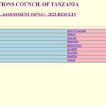 Matokeo darasa la nne Arusha