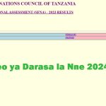 Matokeo ya Darasa la Nne 2024 Iringa