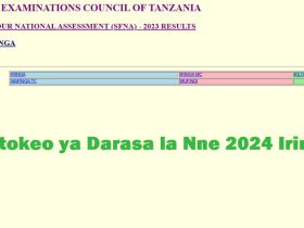 Matokeo ya Darasa la Nne 2024 Iringa