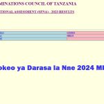 Matokeo ya Darasa la Nne 2024 Mbeya