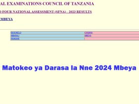 Matokeo ya Darasa la Nne 2024 Mbeya