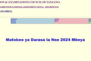 Matokeo ya Darasa la Nne 2024 Mbeya