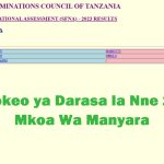 Matokeo ya Darasa la Nne 2024 Mkoa Wa Manyara