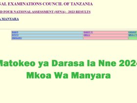 Matokeo ya Darasa la Nne 2024 Mkoa Wa Manyara