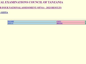 Matokeo ya Darasa la Nne 2024 Mkoa wa Geita