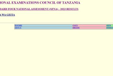 Matokeo ya Darasa la Nne 2024 Mkoa wa Geita