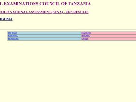 Matokeo ya Darasa la Nne 2024 Mkoa wa Kigoma