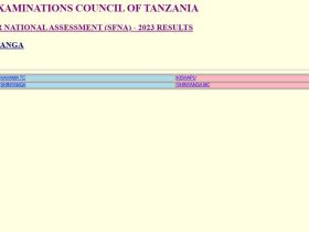 Matokeo ya Darasa la Nne 2024 Mkoa wa Shinyanga