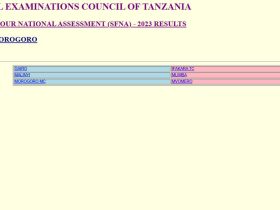 Matokeo ya Darasa la Nne 2024 Morogoro