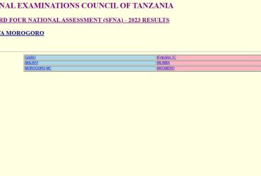 Matokeo ya Darasa la Nne 2024 Morogoro