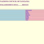 Matokeo ya Darasa la Nne 2024 NECTA