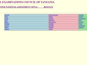 Matokeo ya Darasa la Nne 2024 NECTA