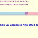 Matokeo ya Darasa la Nne 2024 Tabora