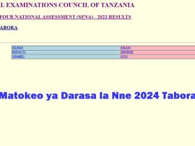 Matokeo ya Darasa la Nne 2024 Tabora