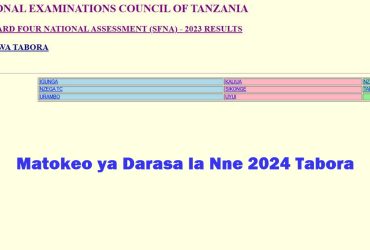 Matokeo ya Darasa la Nne 2024 Tabora