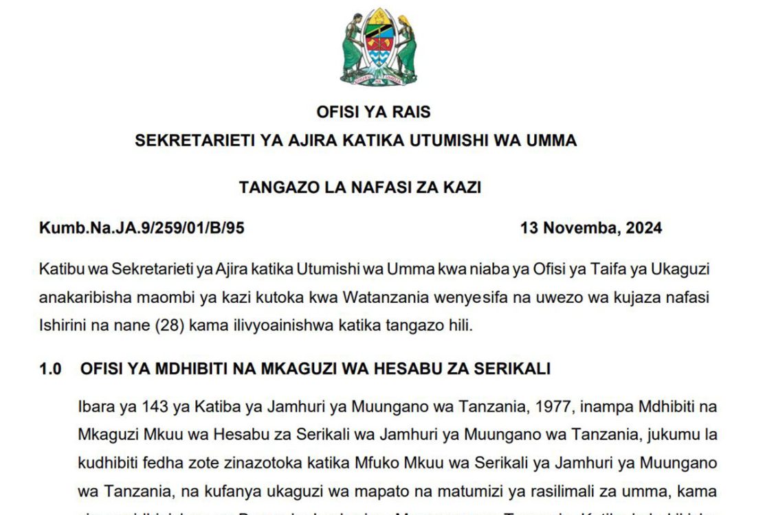 Nafasi Mpya za Kazi Ofisi ya Taifa ya Ukaguzi Novemba 2024