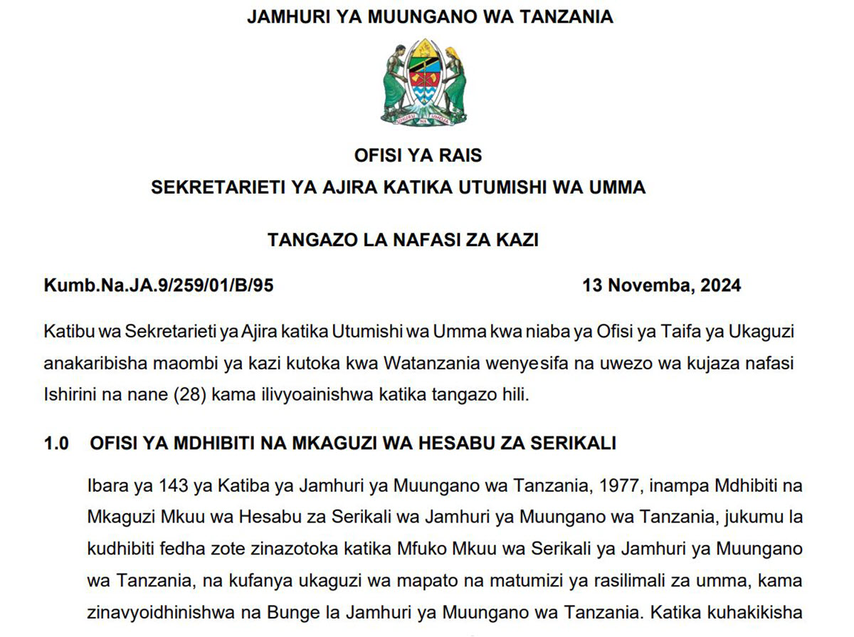 Nafasi Mpya za Kazi Ofisi ya Taifa ya Ukaguzi Novemba 2024