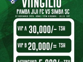 Viingilio Mechi ya Pamba jiji Vs Simba Sc Leo