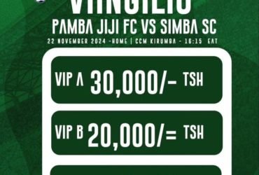 Viingilio Mechi ya Pamba jiji Vs Simba Sc Leo