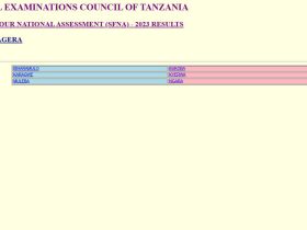 Matokeo ya Darasa la Nne 2024 Mkoa wa Kagera