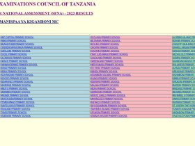 Matokeo ya darasa la nne 2024 yanatangazwa lini