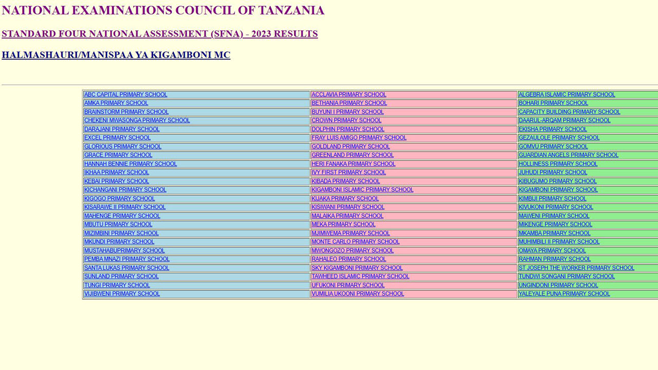 Matokeo ya darasa la nne 2024 yanatangazwa lini