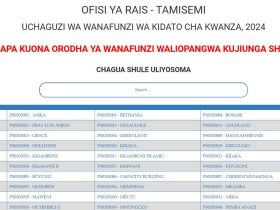 Shule Walizopangiwa Darasa la Saba 2025