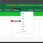 matokeo kidato cha nne 2024