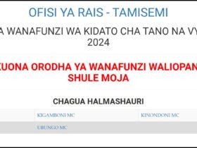 Majina ya Waliochaguliwa Kidato cha Tano Dar es Salaam 2025 2026