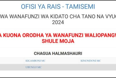 Majina ya Waliochaguliwa Kidato cha Tano Dar es Salaam 2025 2026