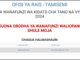 Majina ya Waliochaguliwa Kidato cha Tano Geita 2025 2026