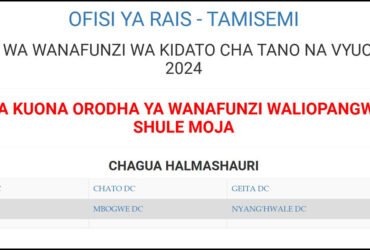 Majina ya Waliochaguliwa Kidato cha Tano Geita 2025 2026