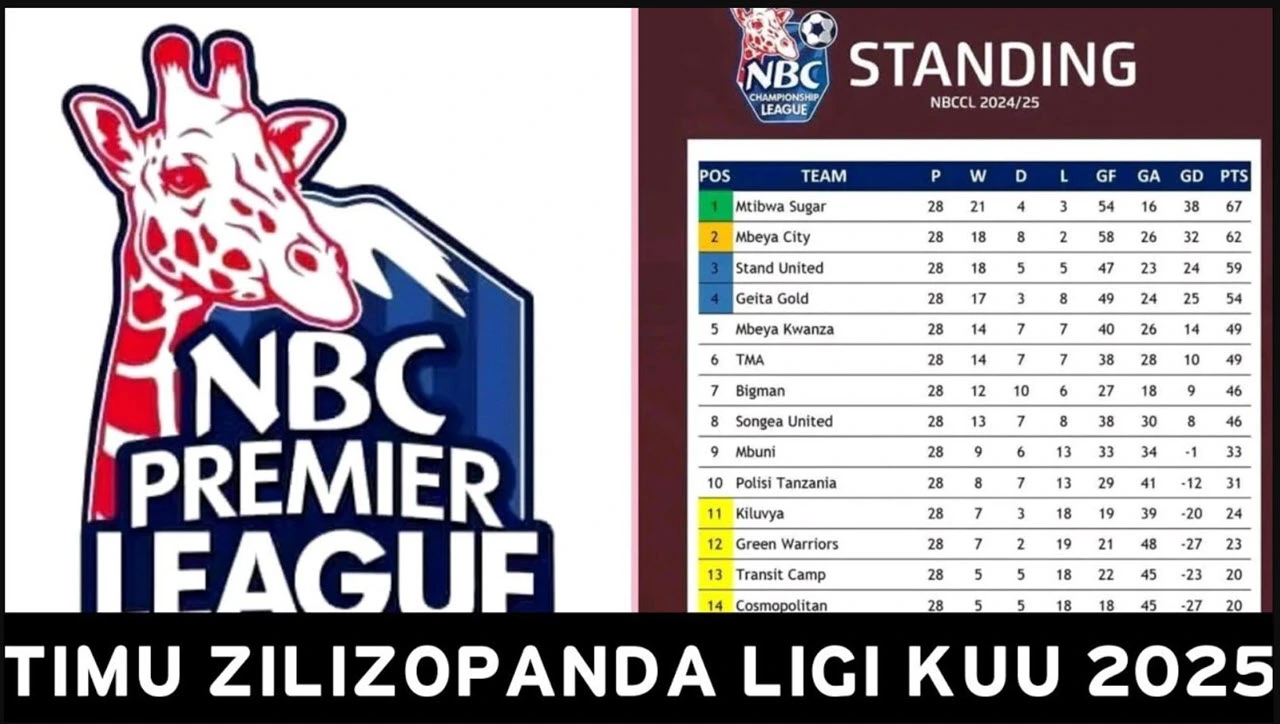 Timu Zilizopanda Daraja Ligi Kuu Tanzania 2025/2026