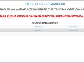 Waliochaguliwa Kidato cha Tano Arusha 2025 2026
