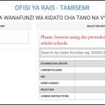 Form Five Selection 2025