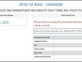 Form Five Selection 2025