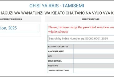 Form Five Selection 2025
