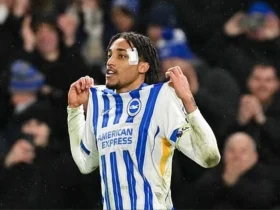 Chelsea Yamwaga Paundi Milioni 60 Kumsajili Mshambuliaji Joao Pedro