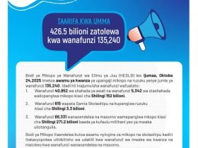 HESLB Yatangaza Awamu ya Kwanza ya Mikopo 2025 2026