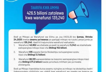 HESLB Yatangaza Awamu ya Kwanza ya Mikopo 2025 2026