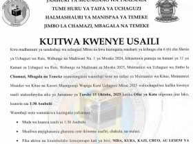 Majina Ya Usaili Kusimamia Uchaguzi 2025 Jimbo La Temeke