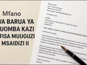 Mfano Wa Barua Ya Kuomba Kazi Afisa Muuguzi Msaidizi II